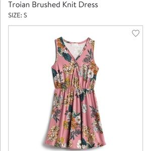 NWT Stitch Fix French Grey Troian Dress